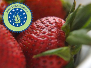 Fresa ecológica