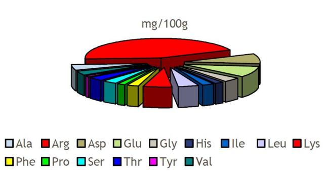 Perfil aminoacídico de la horchata de chufa