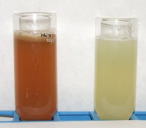 Zumo de pera sin (izq.) y con (der.) ciclodextrinas