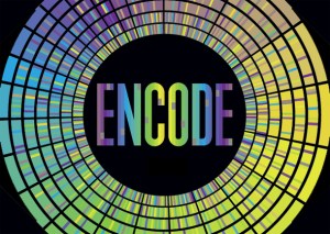ENCODE