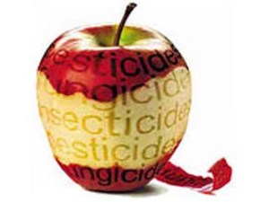 quimiofobia_noticias_535