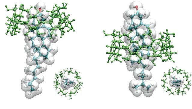 Modelado molecular del colesterol encapsulado por ciclodextrinas