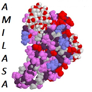 amilasa