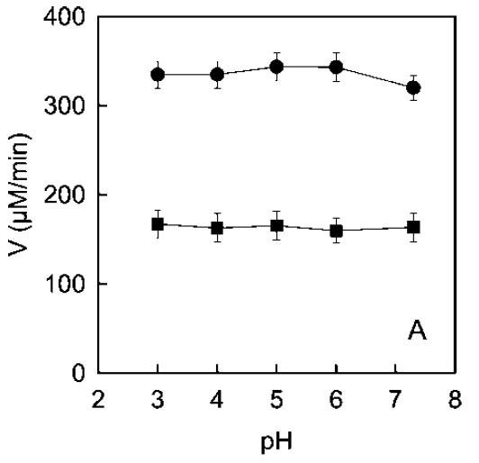 Actividad de PPO ecológica (círculos) y tradicional (cuadrados) a diferentes pHs en presencia de tripsina.