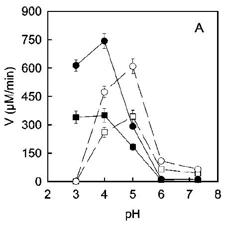 Actividad PPO en uva ecológica (círculos) y tradicional (cuandrados) en diferentes condiciones