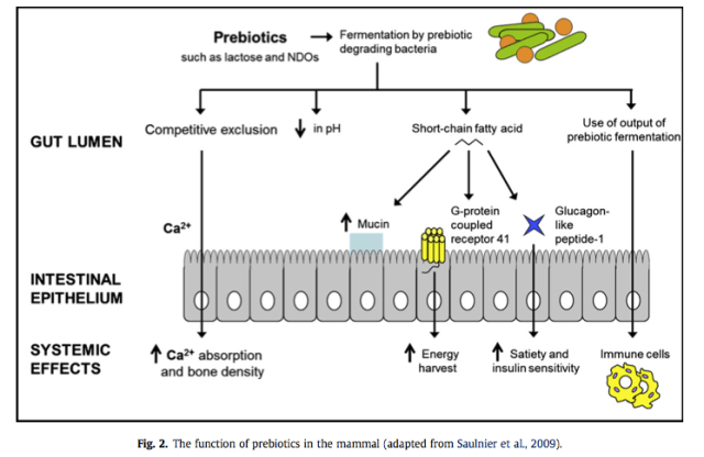 Captura de pantalla 2013-11-21 a la(s) 22.53.57