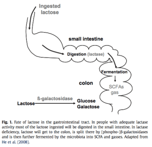 Captura de pantalla 2013-11-21 a la(s) 22.56.01