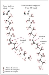 4v28n02-13132747fig06-2