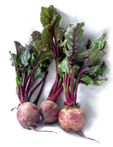 Las betalaínas que contiene la remolacha roja (Beta vulgaris) se utilizan a modo de colorantes en la industria alimentaria.