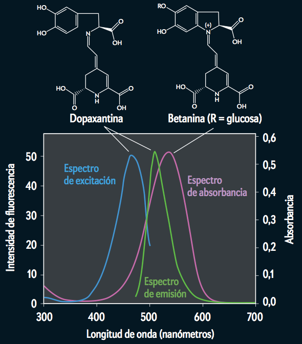 Captura de pantalla 2014-01-13 a la(s) 12.17.45