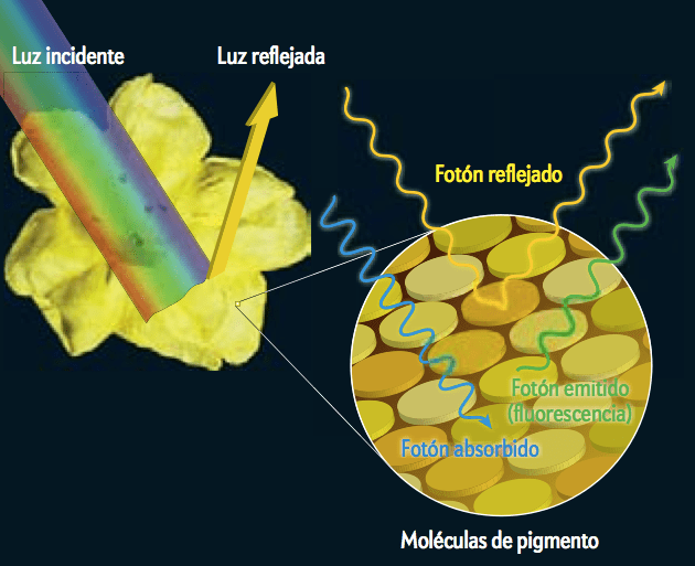 Captura de pantalla 2014-01-13 a la(s) 12.18.16
