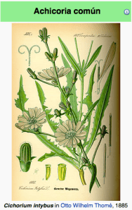 Captura de pantalla 2014-01-16 a la(s) 15.37.42