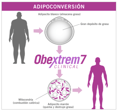 Captura de pantalla 2014-07-27 a la(s) 17.25.12