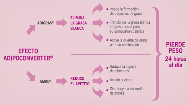 Efecto-Adipoconverter