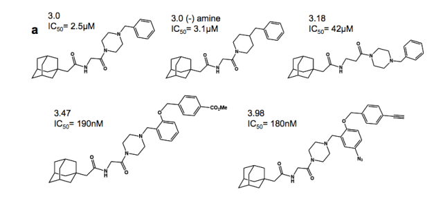 Estructura de algunos posibles inhibidores del virus del Ébola estudiados