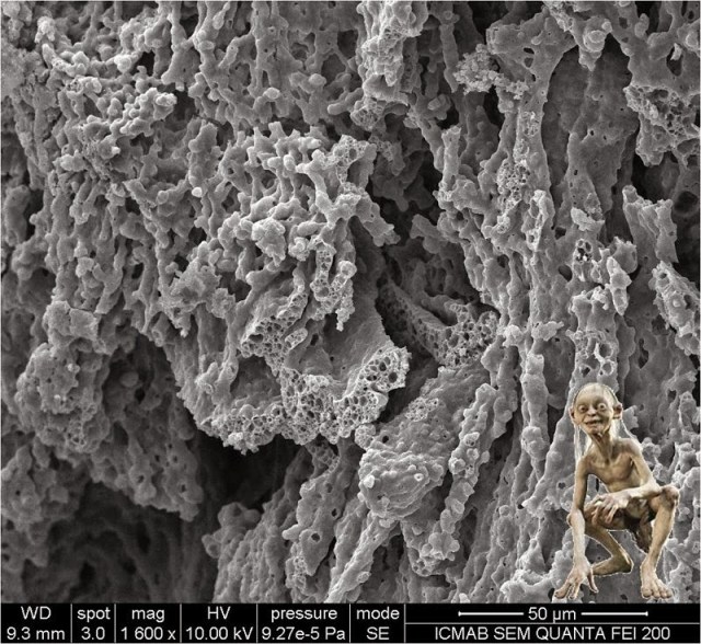 534530ed69ab9-ABSURDA-CIENCIA-Gollum-en-el-nanomundo,medium_large