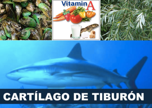 Mejillón de labios verdes, vitamina A, sauce y...cartílago de tiburón.