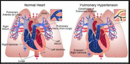 Captura de pantalla 2015-01-23 a la(s) 00.01.54