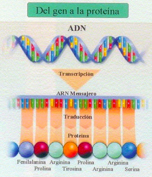 Captura de pantalla 2015-03-02 a la(s) 09.53.02