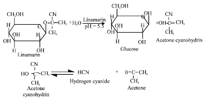 Generación de cianuro de hidrógeno a partir de linamarina