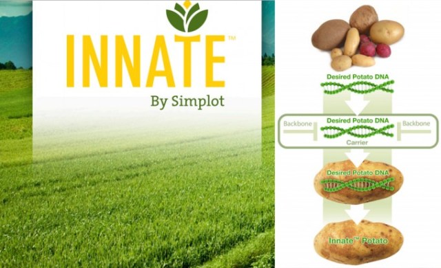 patata_innate_1-680x415-2