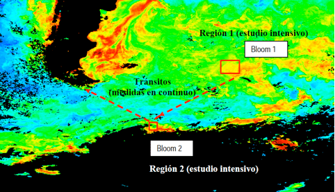Imagen 4. Imagen de la NASA de la concentración de clorofila en el océano: en rojo más y en azul menos concentración (Fuente: http://www.icm.csic.es/icmdivulga/ca/campana-pegaso-01.htm).