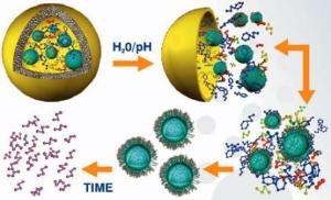 Proceso de encapsulación molecular y liberación controlada.