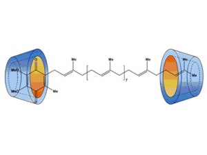 Coenzima Q10 micoencapsulada (Fuente: Wacker)