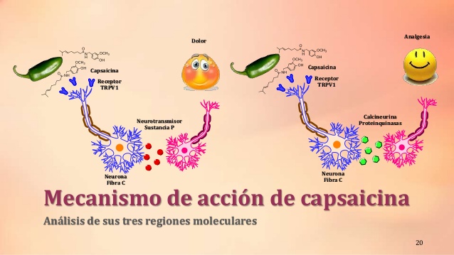 alcamidas-naturales-y-sintticas-aplicaciones-en-la-terapia-del-dolor-20-638