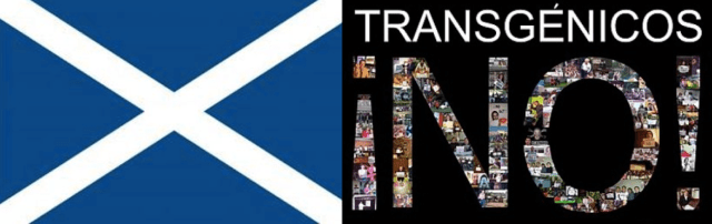 Captura de pantalla 2015-08-12 a la(s) 16.47.24