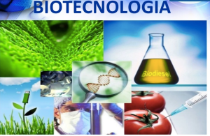 Captura de pantalla 2015-09-03 a la(s) 13.10.37