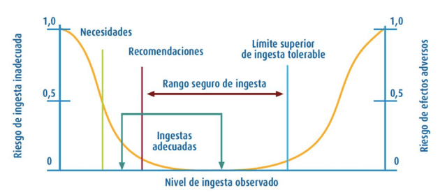 Relación entre la ingesta habitual y la probabilidad de efectos adversos sobre la salud, incluyendo las diferentes ingestas dietéticas de referencia (Gil et al., 2010)