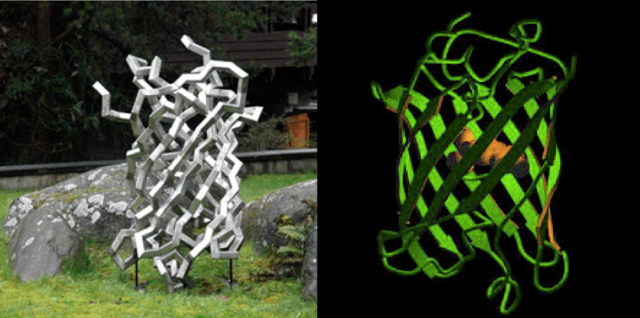 La medusa de acero (izq.) y la GFP (der.)