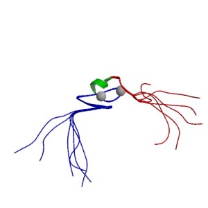 AIRAPL (Fuente: Protein Data Bank)