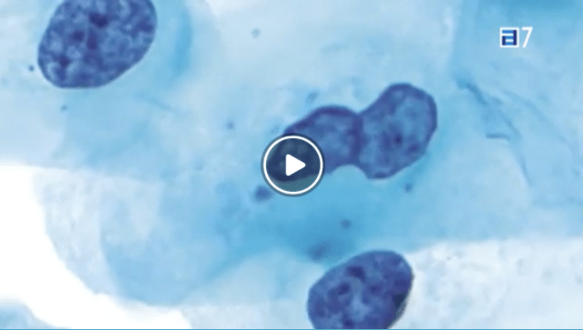 Captura de pantalla 2016-01-12 a la(s) 22.26.53