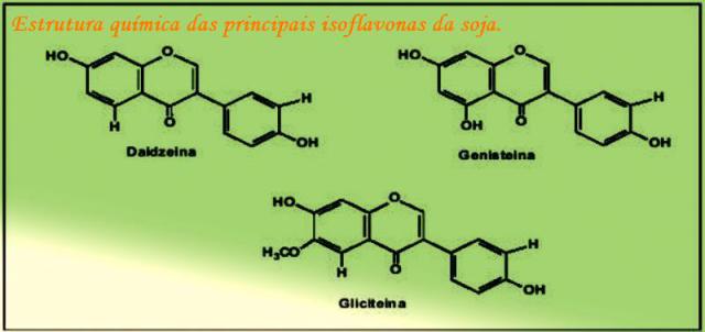 isoflavonas-mol1