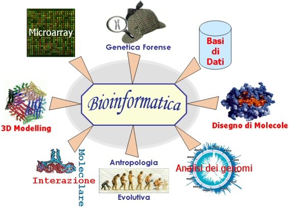 bioinformatica