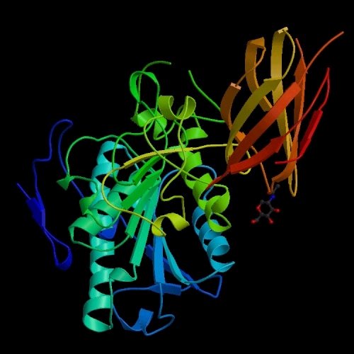 Lipase_Enzyme_Acidic_.jpg