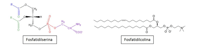 Captura de pantalla 2016-04-25 a la(s) 14.53.50