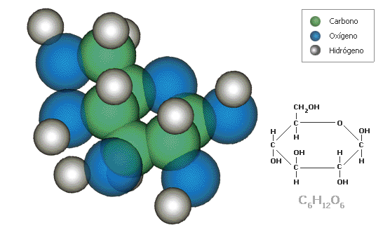 fotosintesis_glucosa.jpg