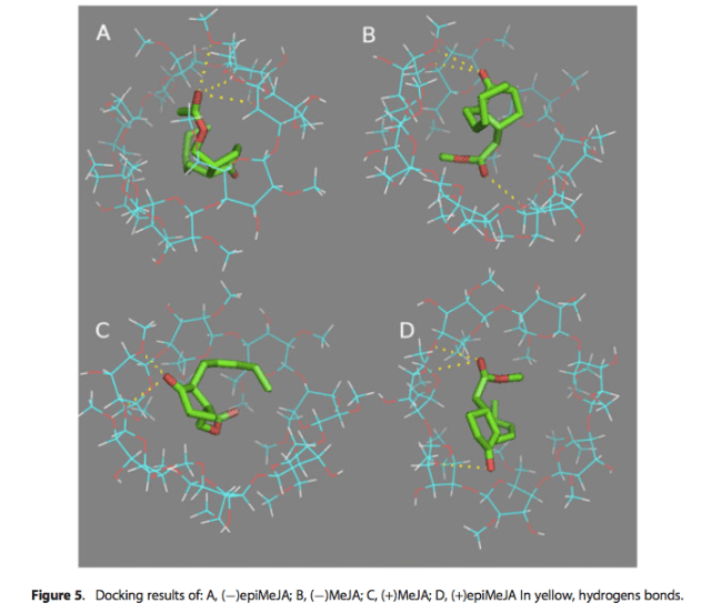 Captura de pantalla 2016-12-19 a las 15.47.00.png