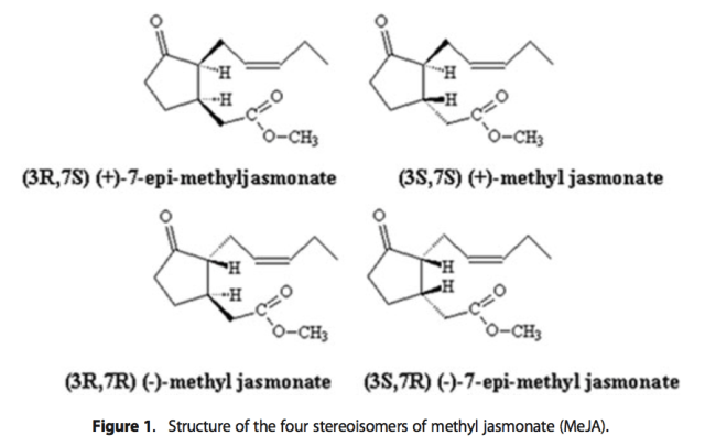 Captura de pantalla 2016-12-19 a las 15.47.49.png