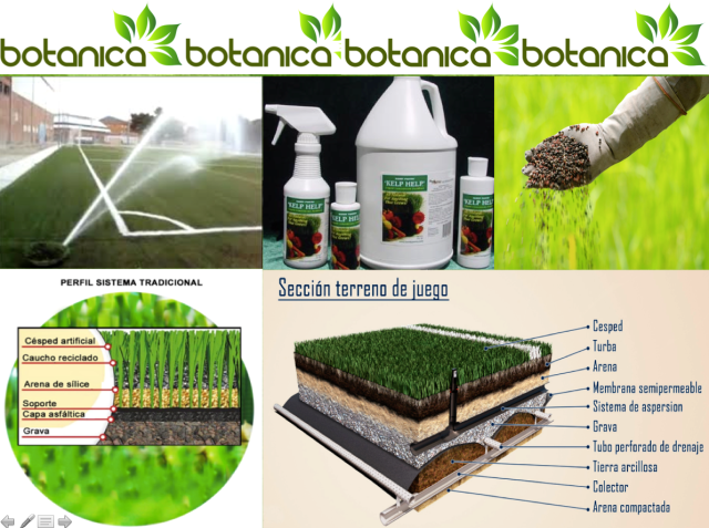 Captura de pantalla 2017-10-29 a las 9.45.59.png