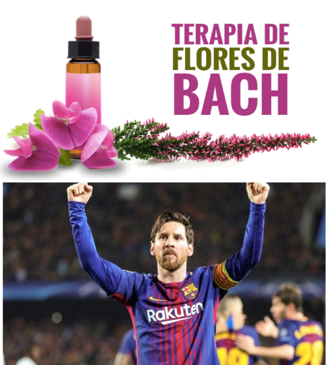 Captura de pantalla 2018-08-19 a las 11.26.29.png