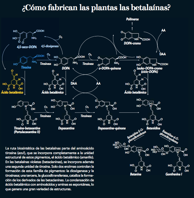 Captura de pantalla 2018-08-29 a las 15.20.52.png