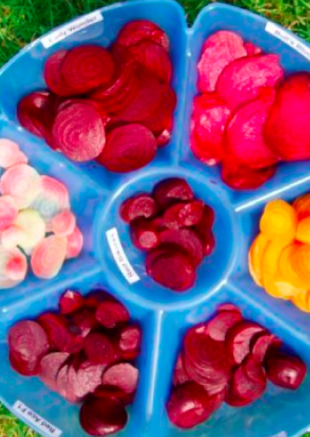 Captura de pantalla 2018-08-29 a las 15.32.56.png