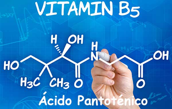 vitamina-B5.jpg