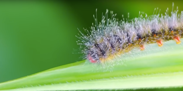 Captura de pantalla 2018-09-17 a las 21.05.33.png